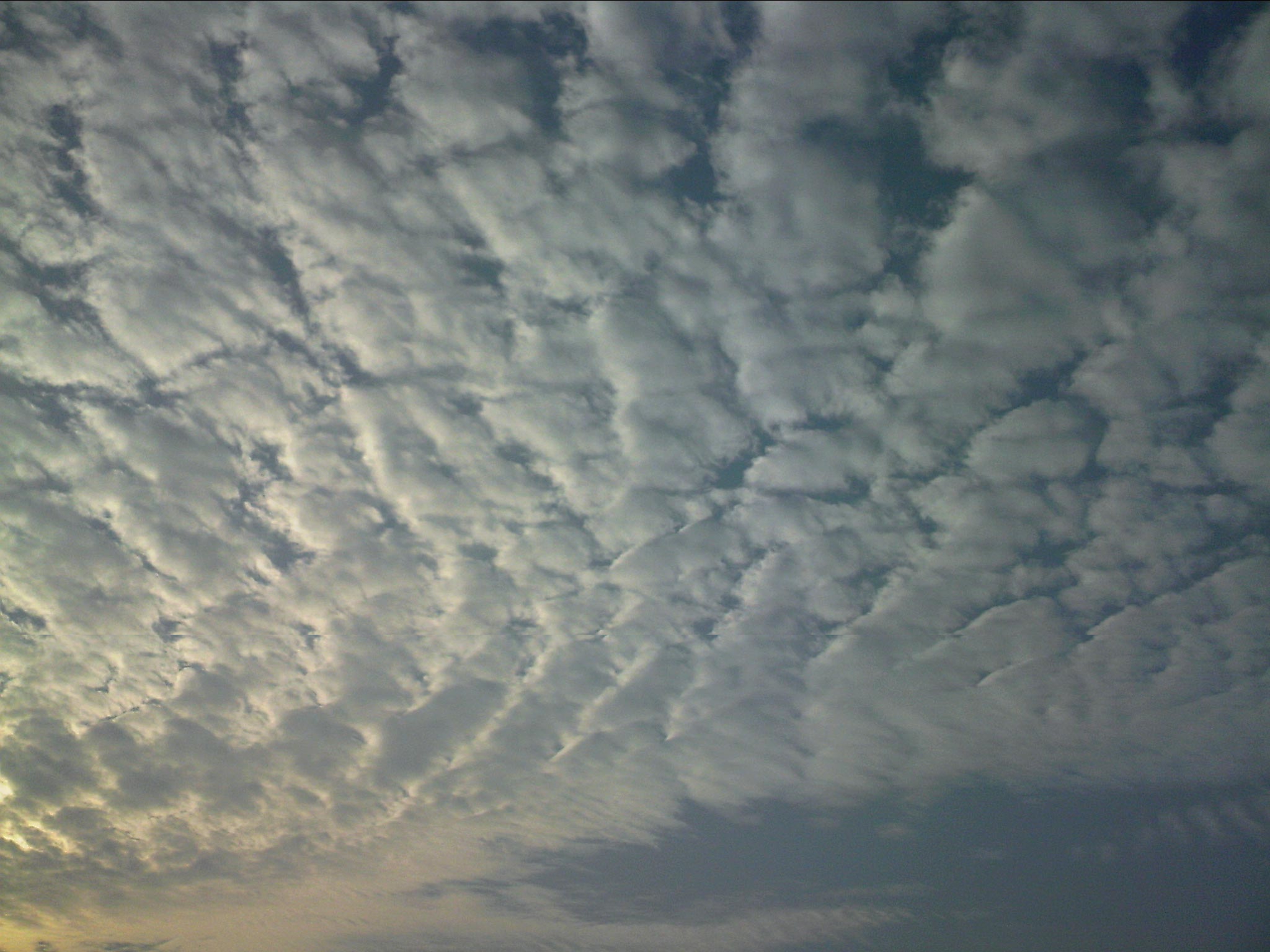 111229A009.jpg