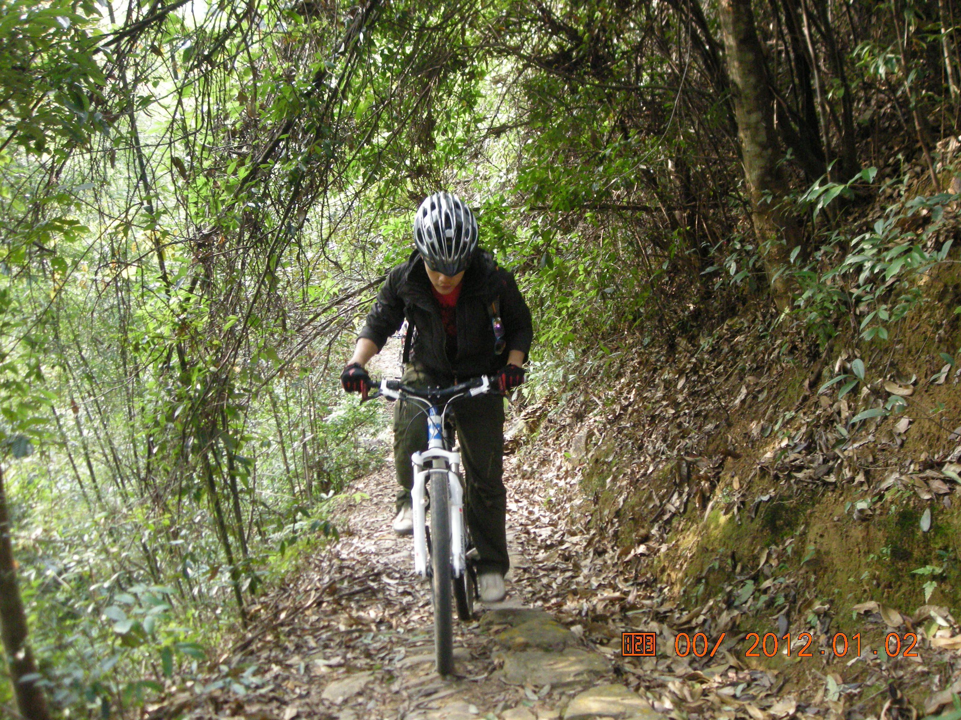 DSCN3518.JPG