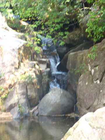 IMG_1398_С.jpg