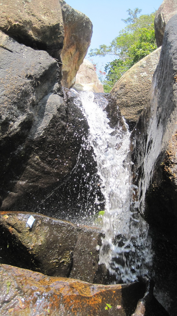 IMG_2756_С.JPG