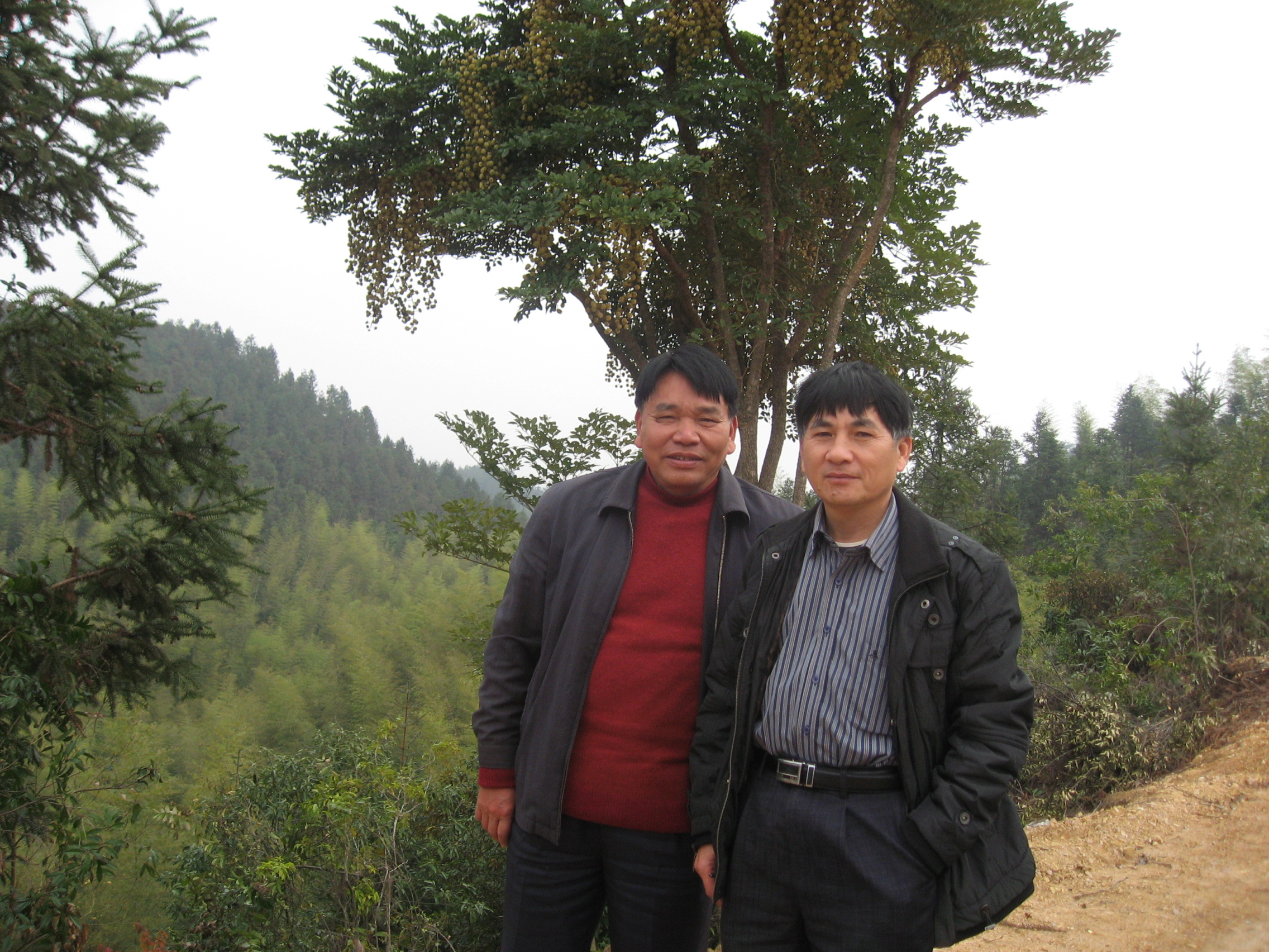 IMG_6737.jpg