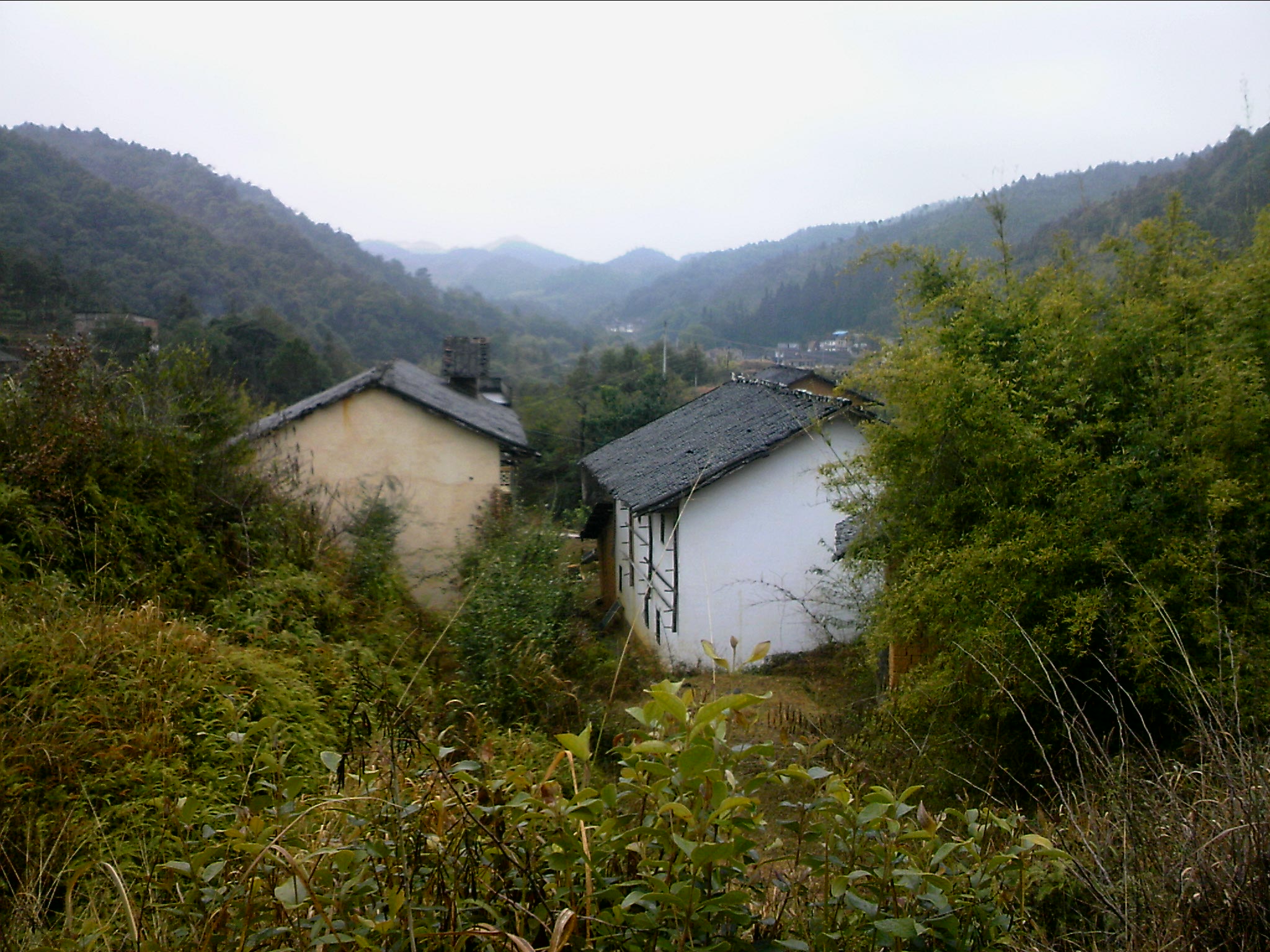 120127A013.jpg