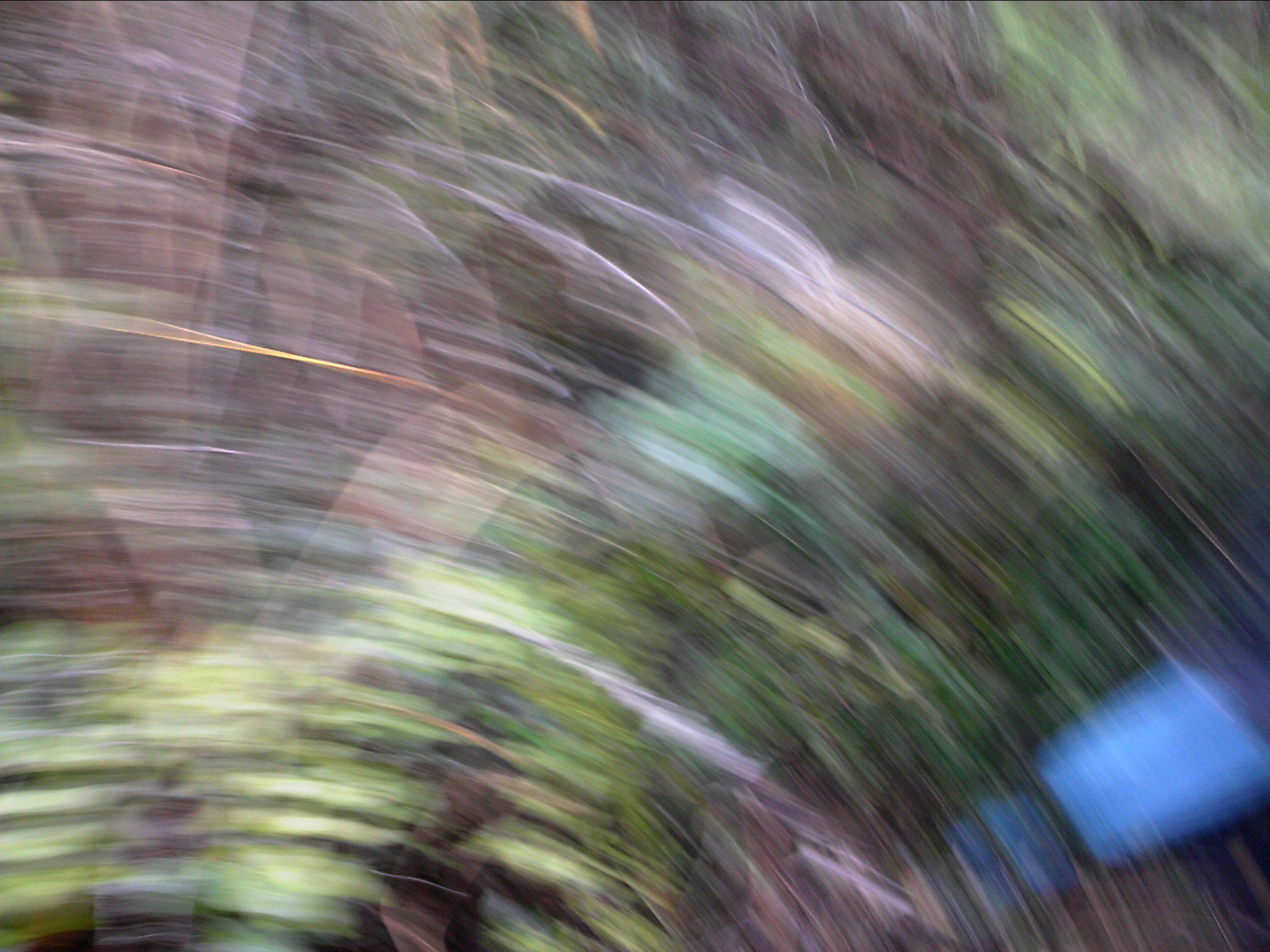 120127A014.jpg