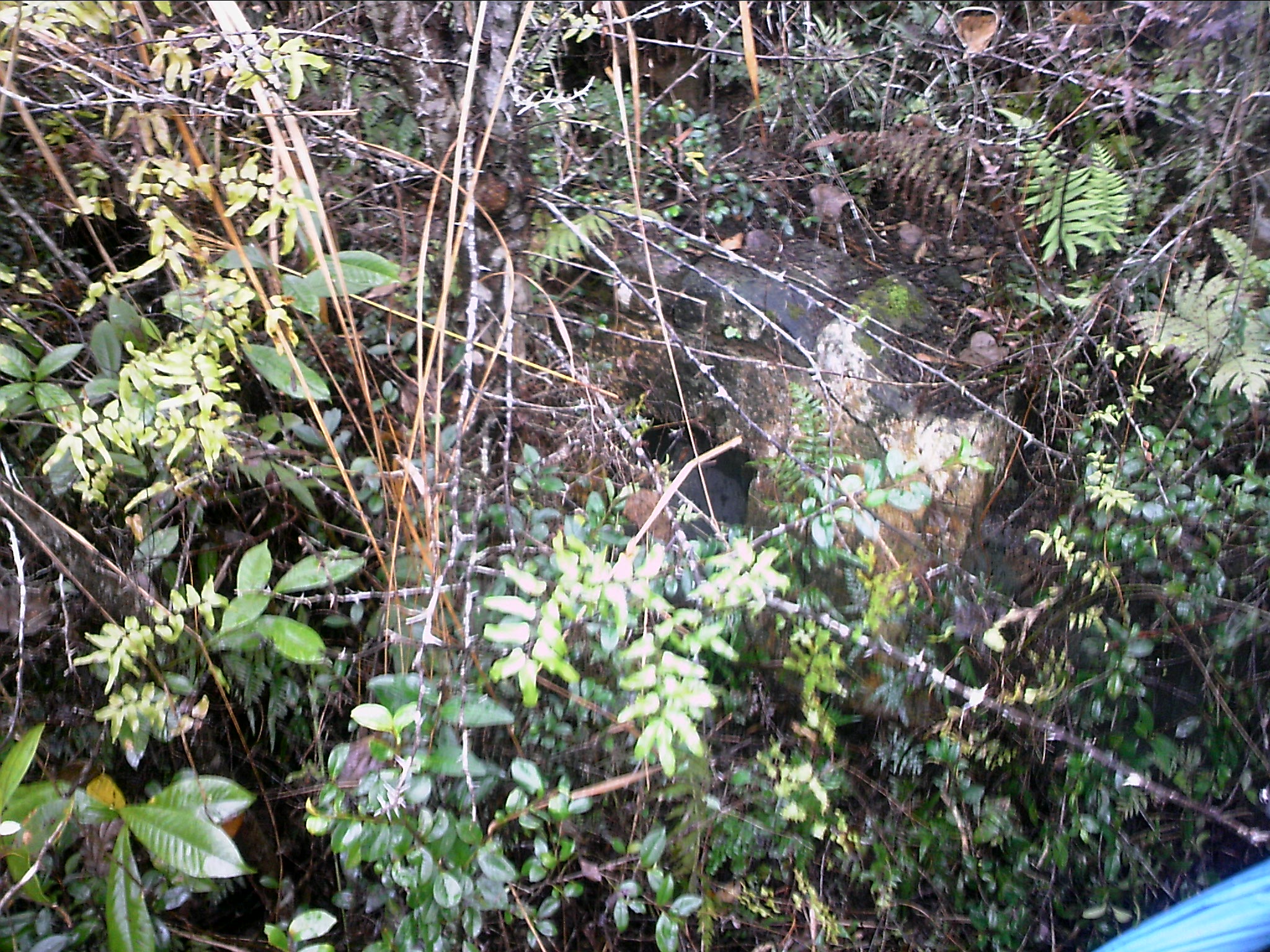 120127A017.jpg