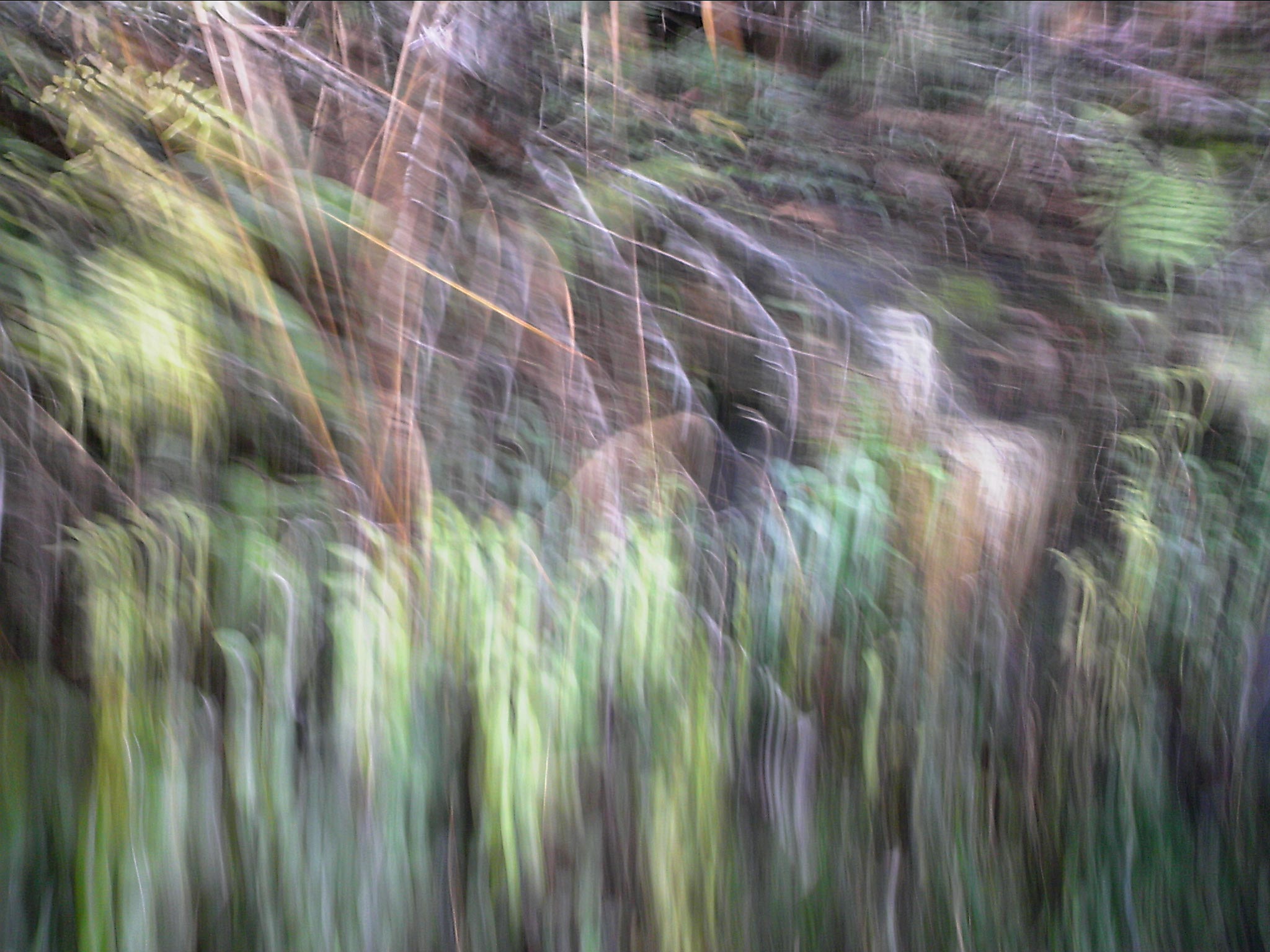 120127A018.jpg