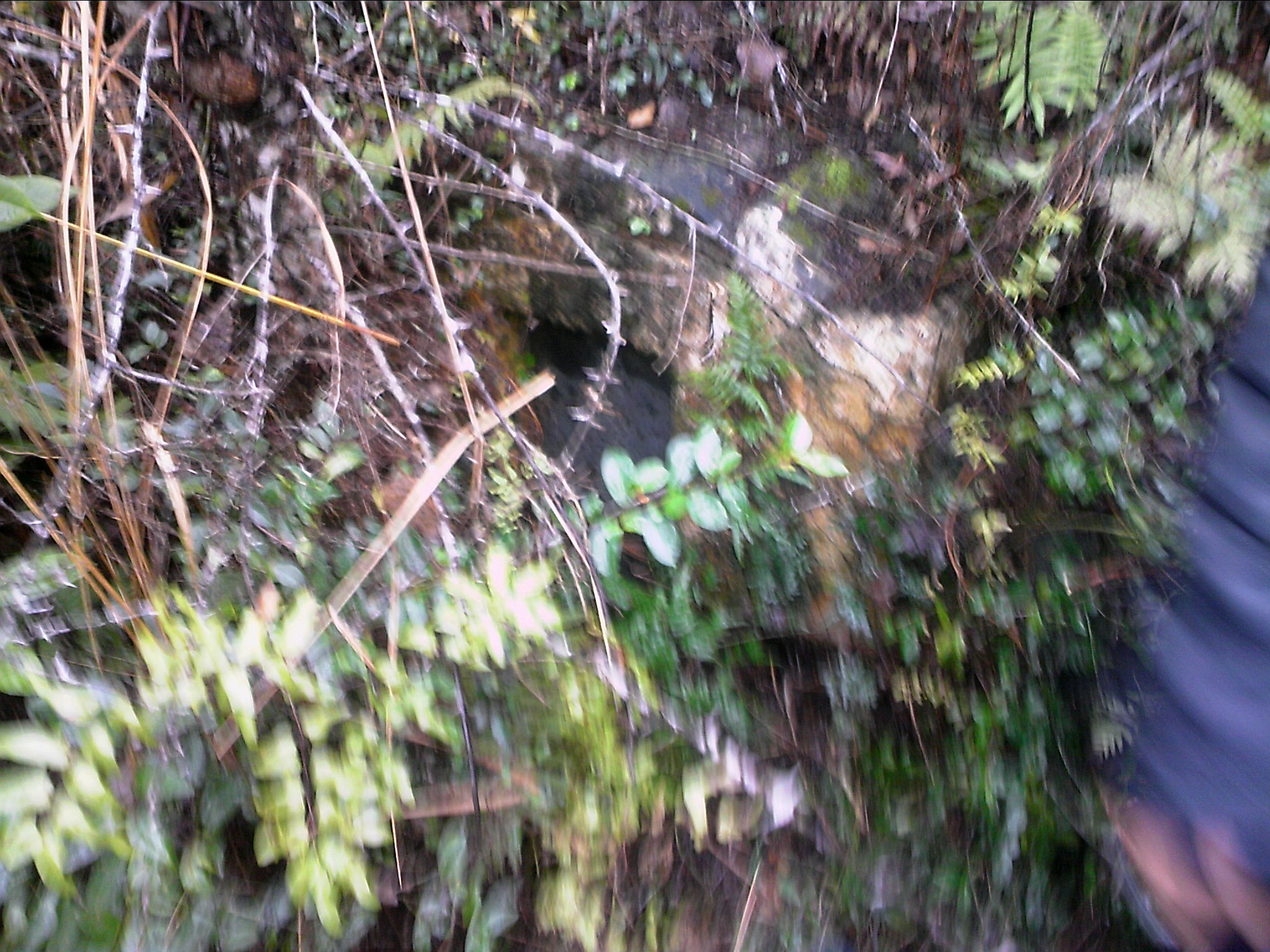 120127A020.jpg