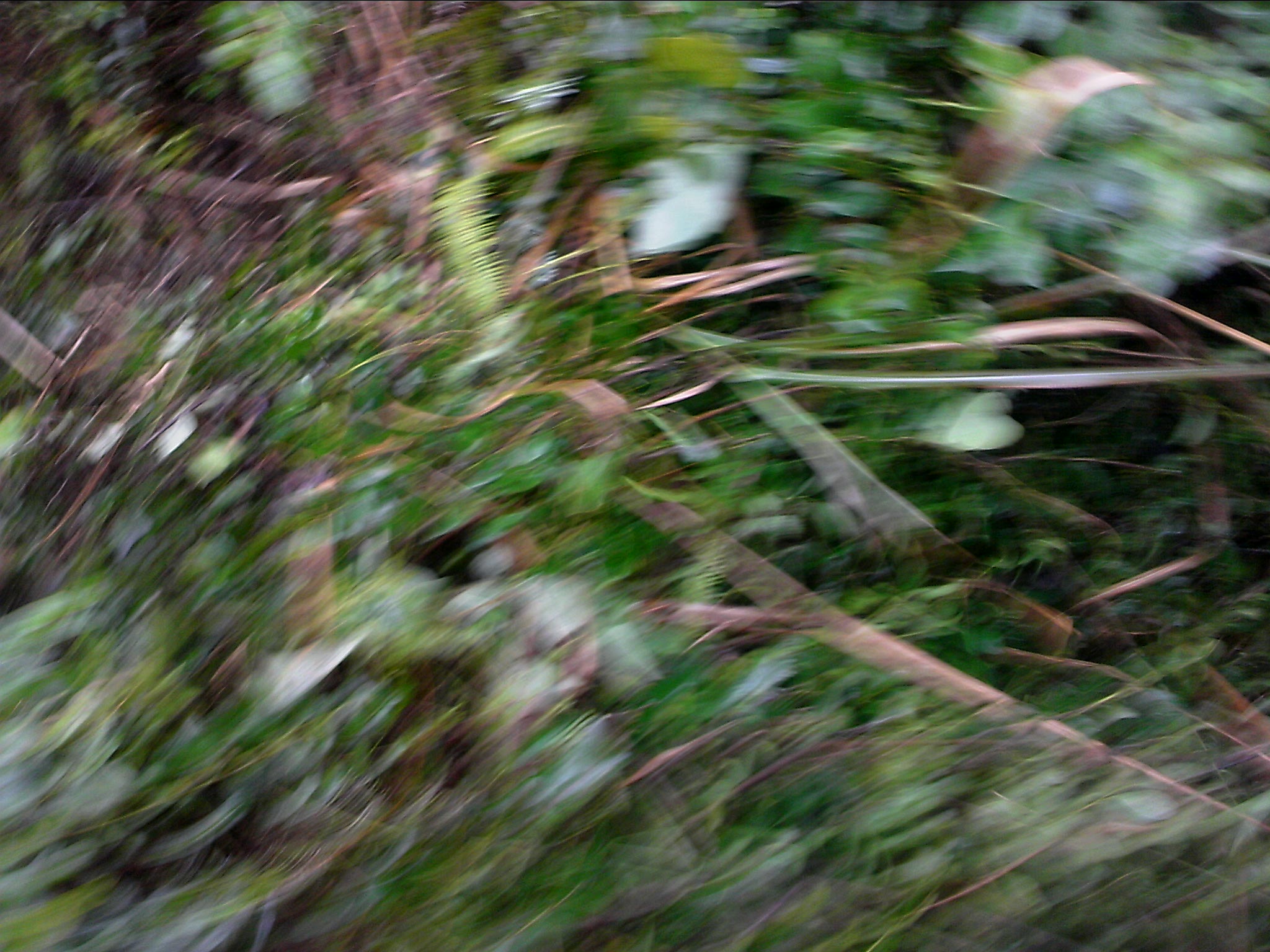 120127A021.jpg