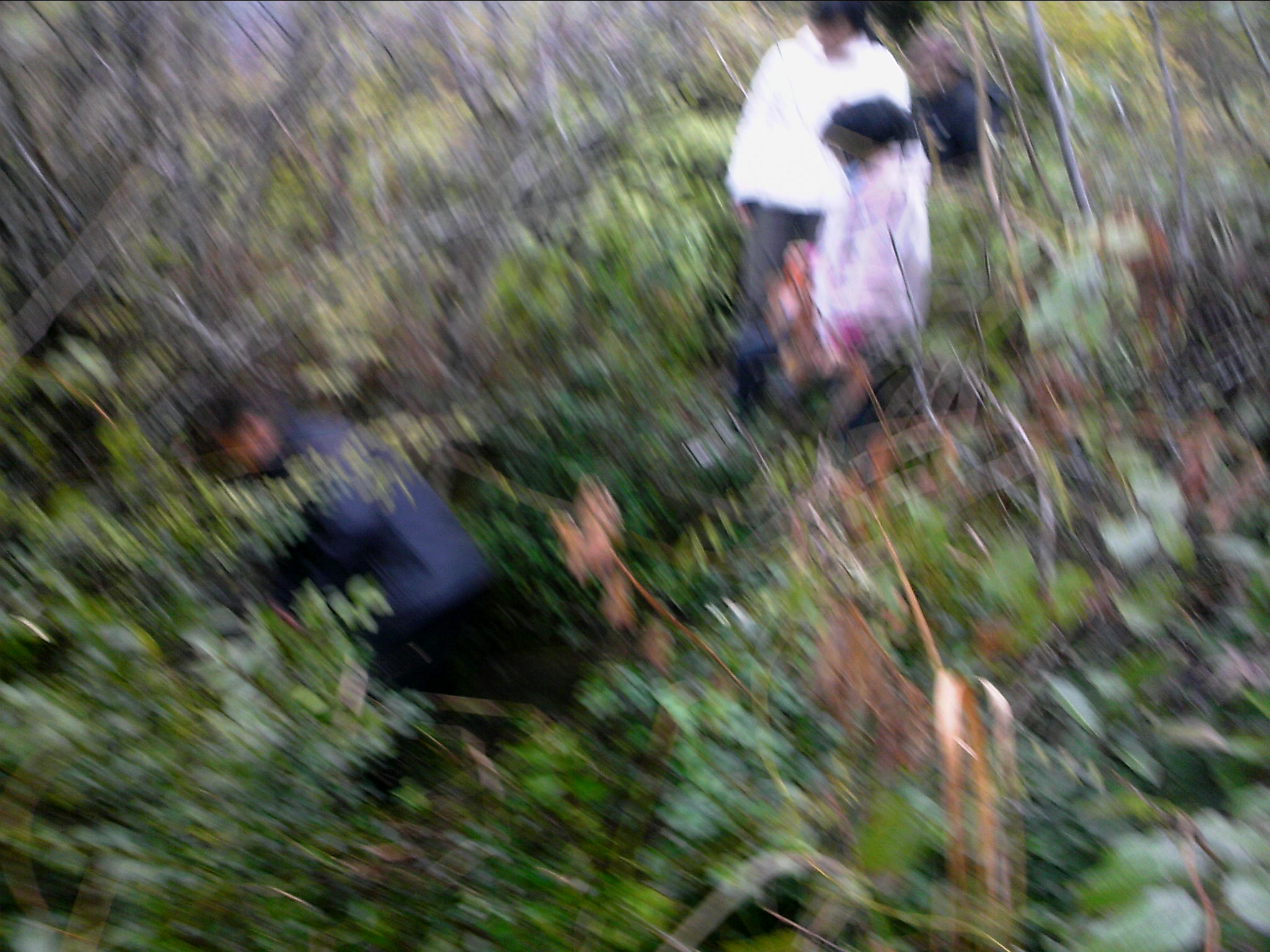 120127A024.jpg