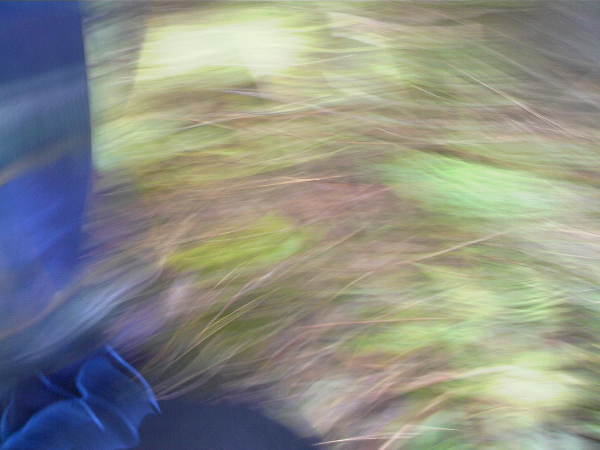 120127A030.jpg