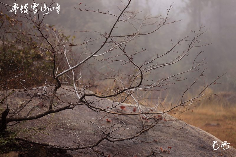 _MG_4213.jpg
