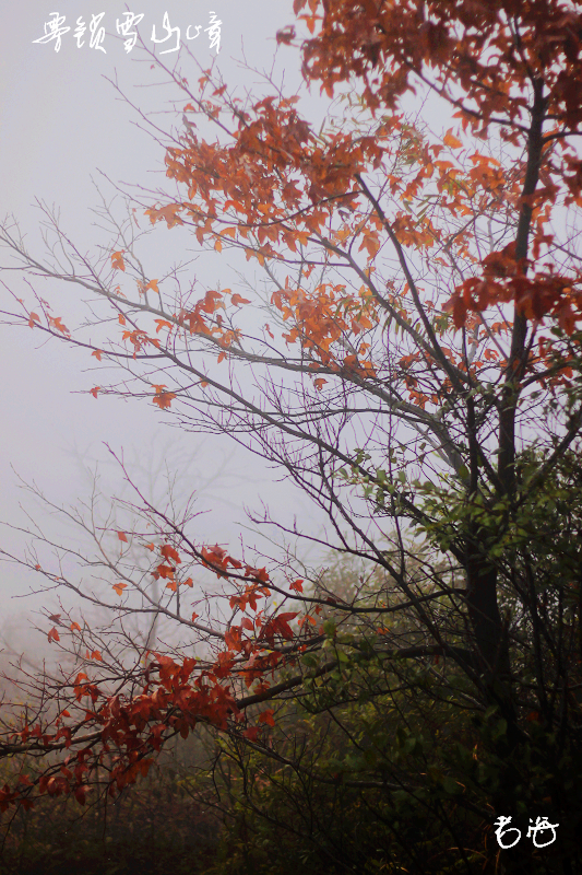 _MG_4264.jpg