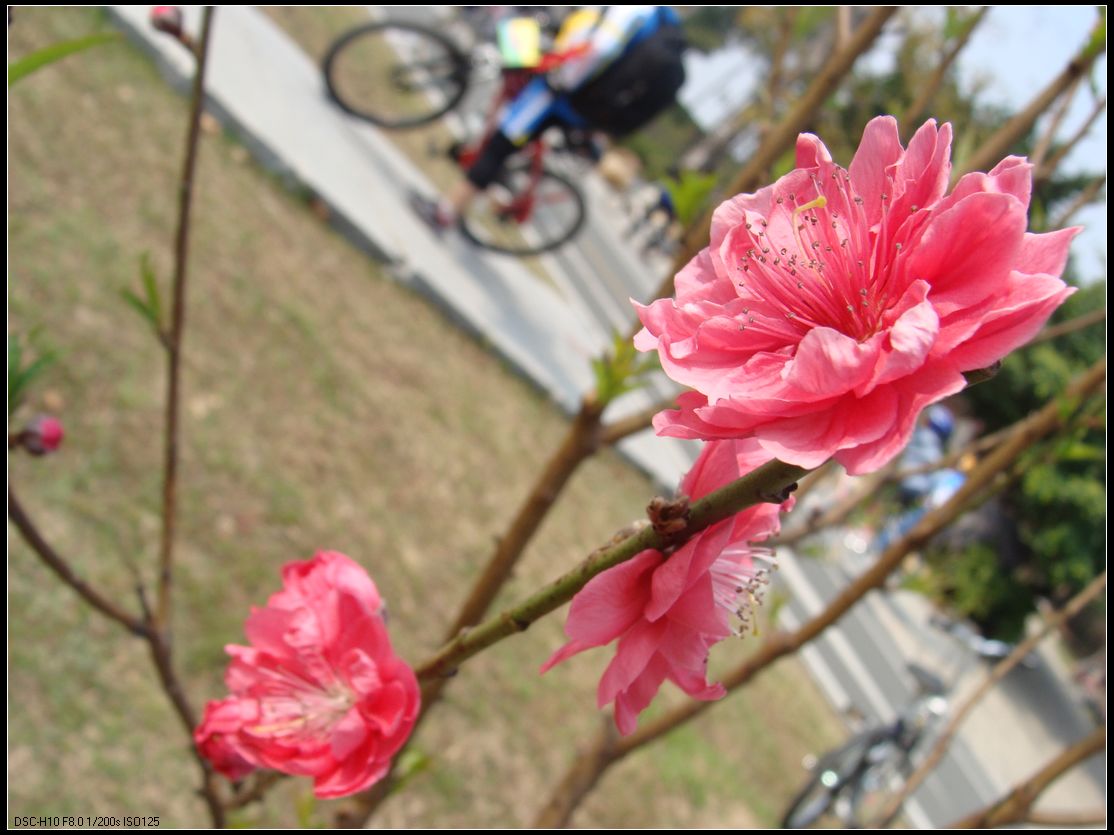 DSC01280.jpg