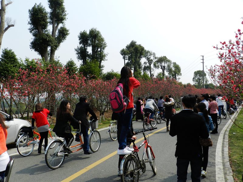 DSCN1487.jpg