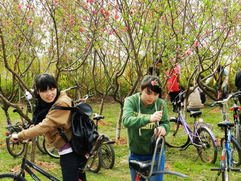 DSCN1601.jpg