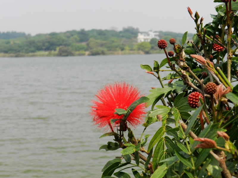 DSCN1468.jpg