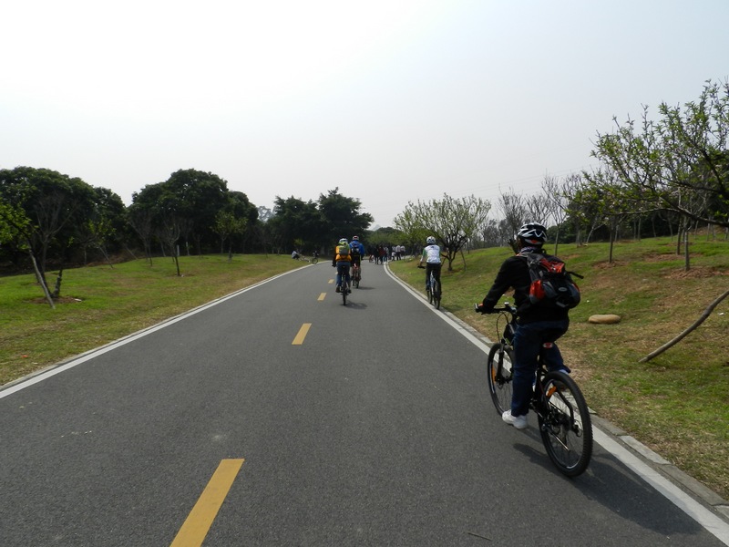 DSCN1495.jpg