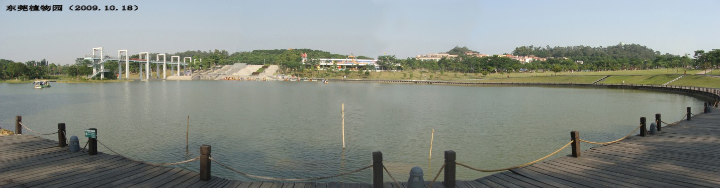 DSC03349_conew1.jpg
