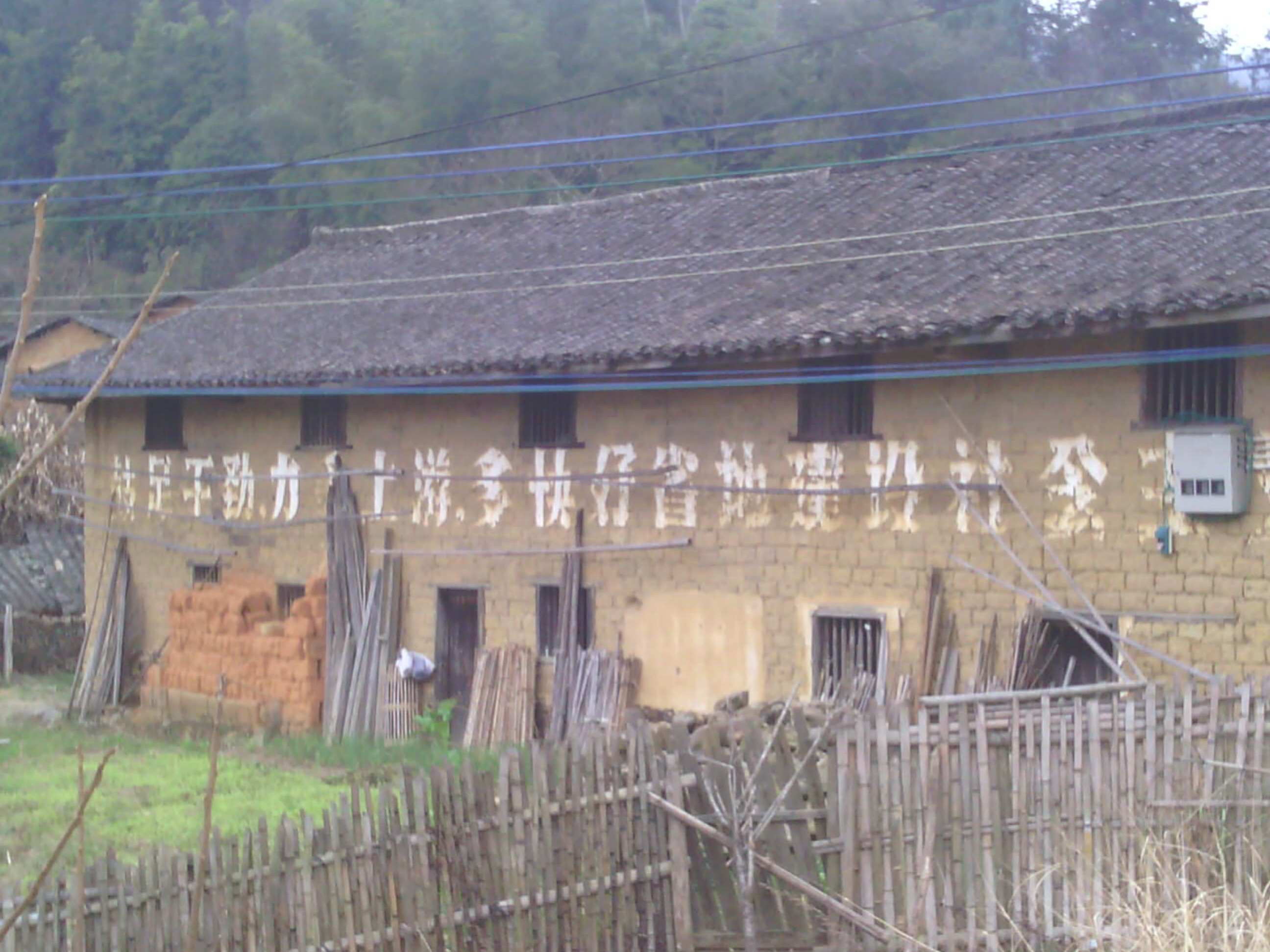 IMG_20120220_165433.jpg