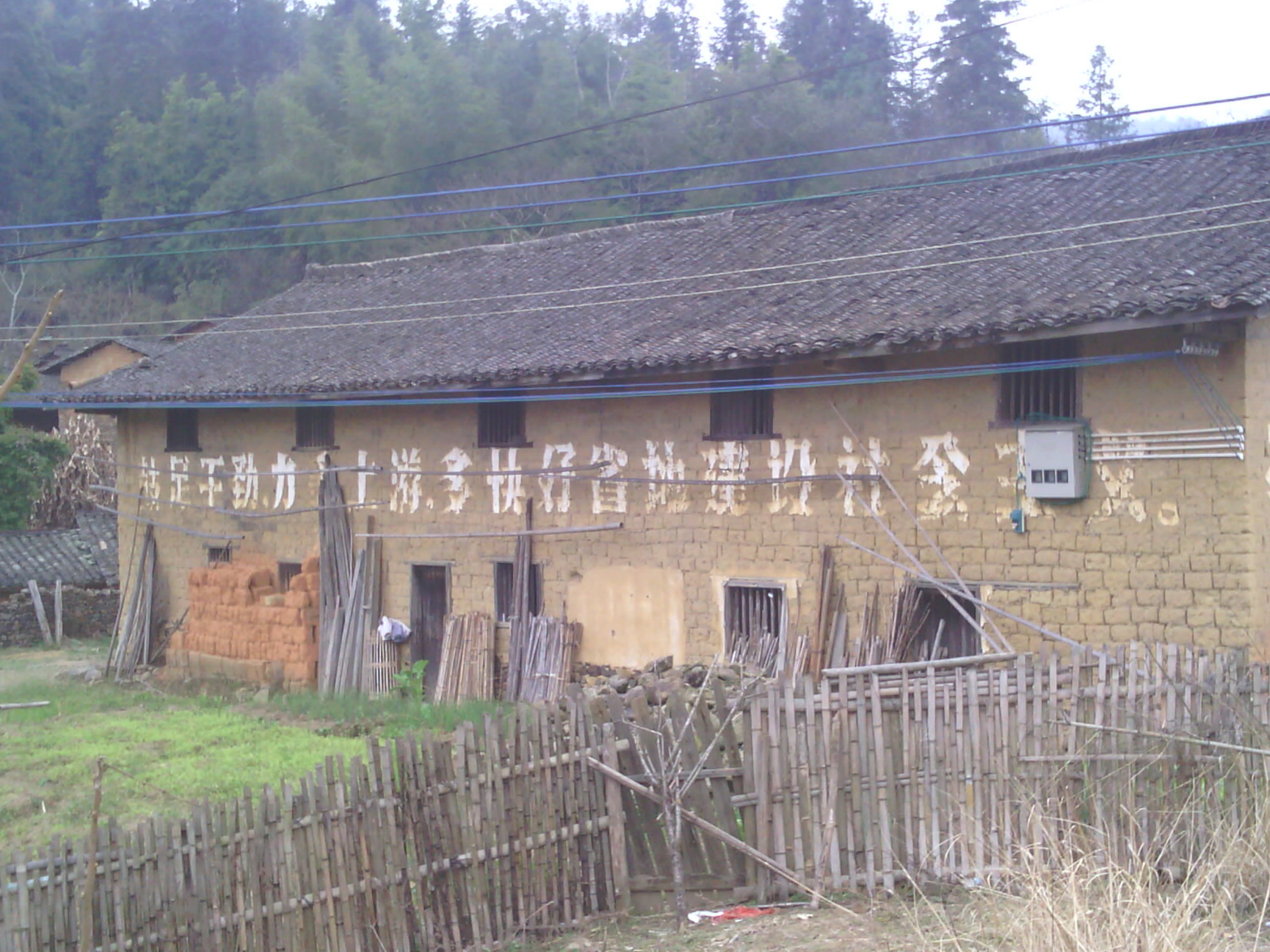 IMG_20120220_165500.jpg