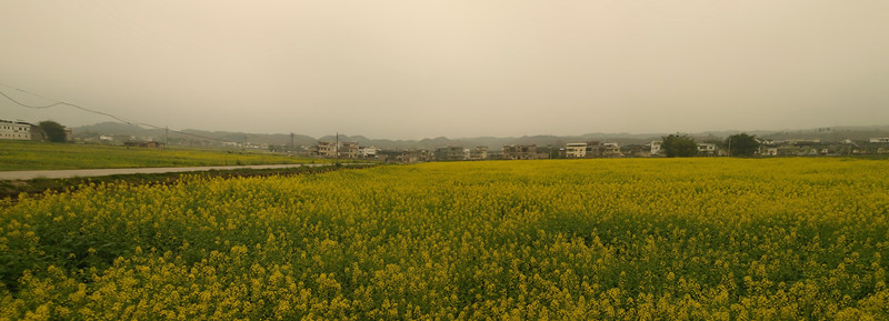 IMG_20120302_105900_.jpg