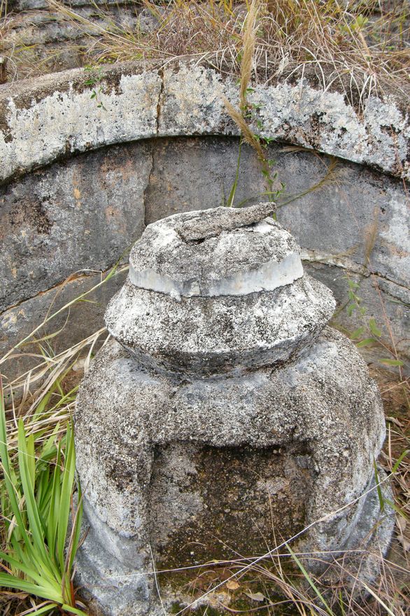 DSCF3779.JPG