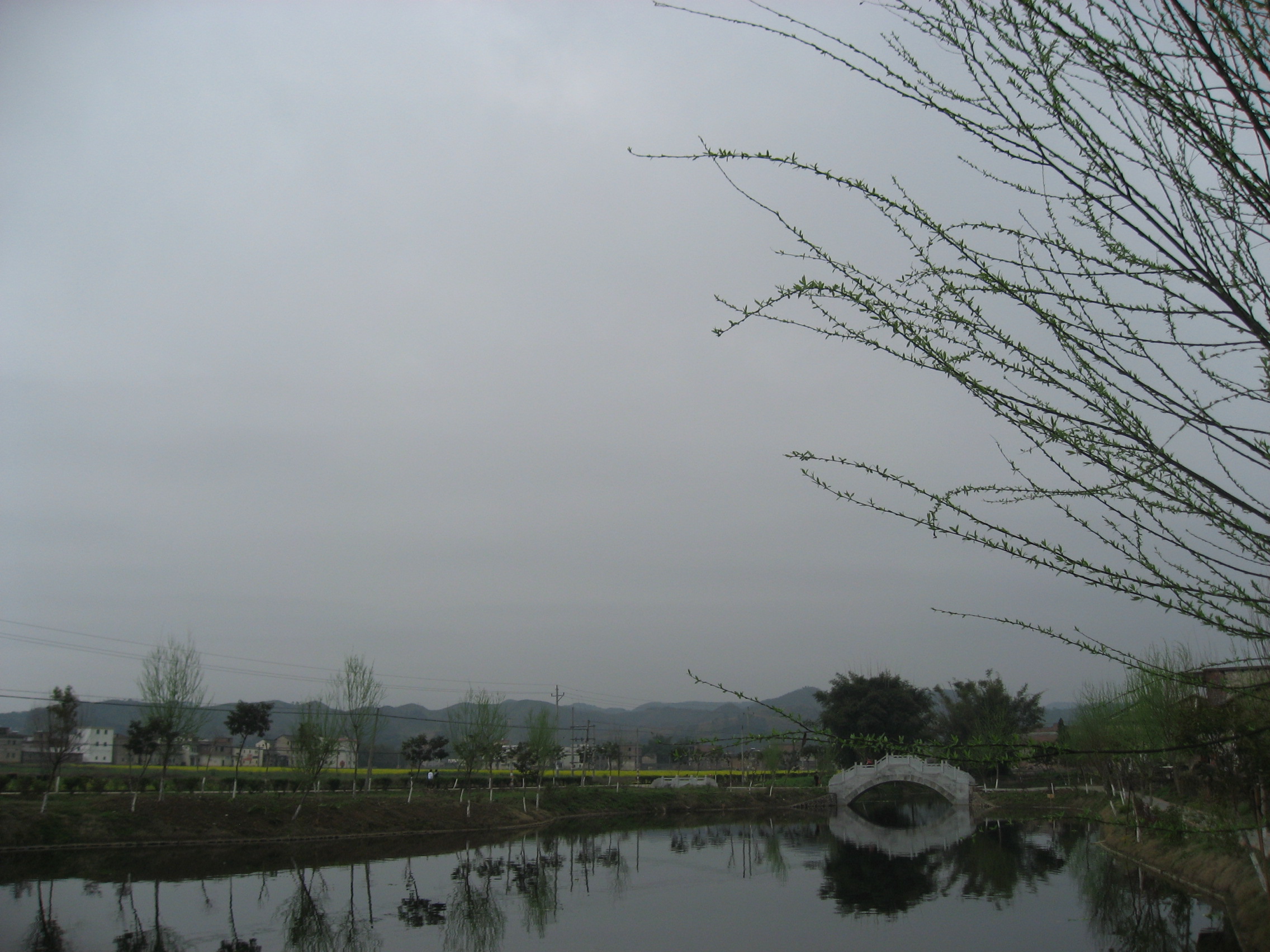 IMG_8164.jpg