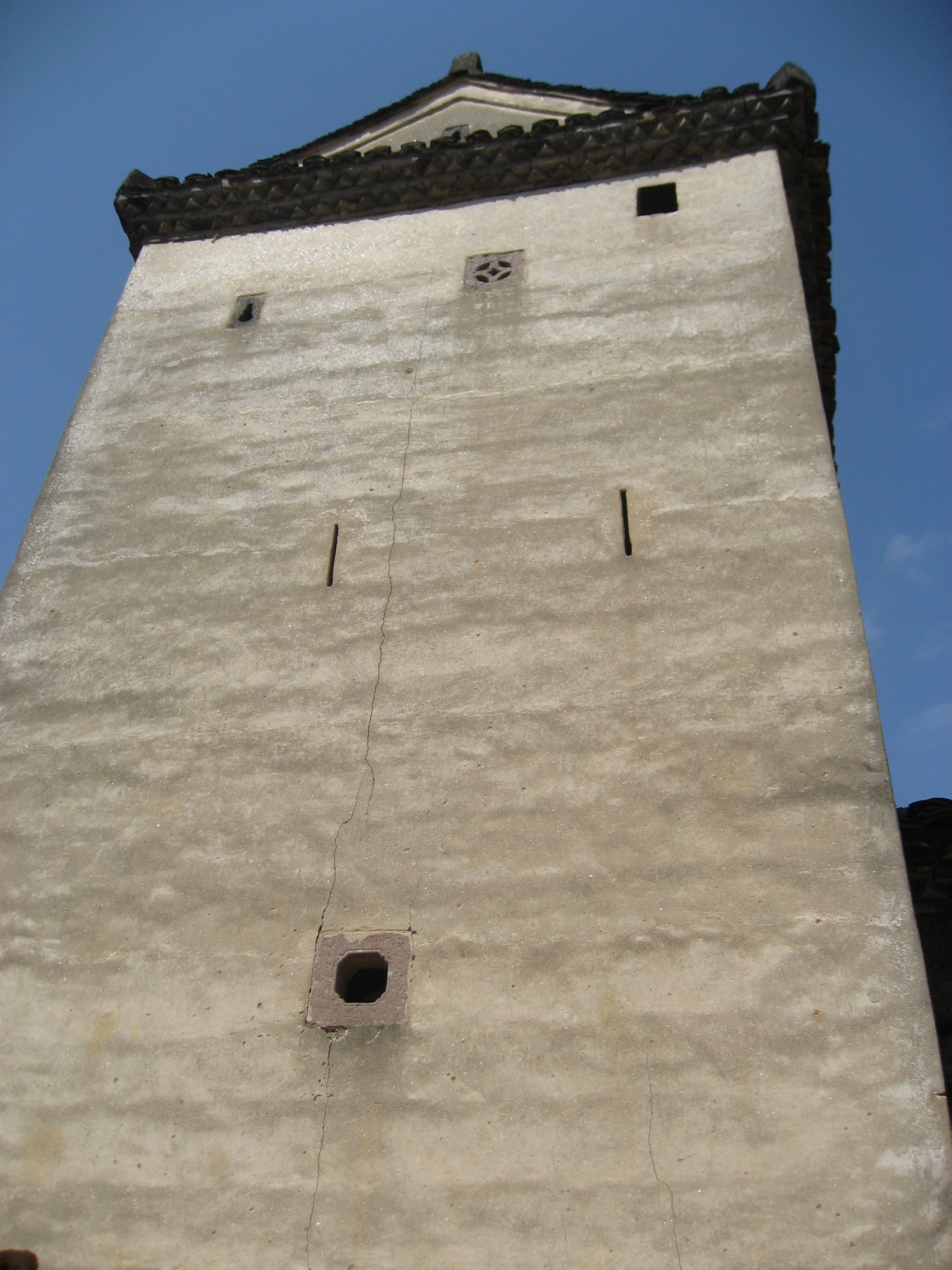 IMG_7945.jpg