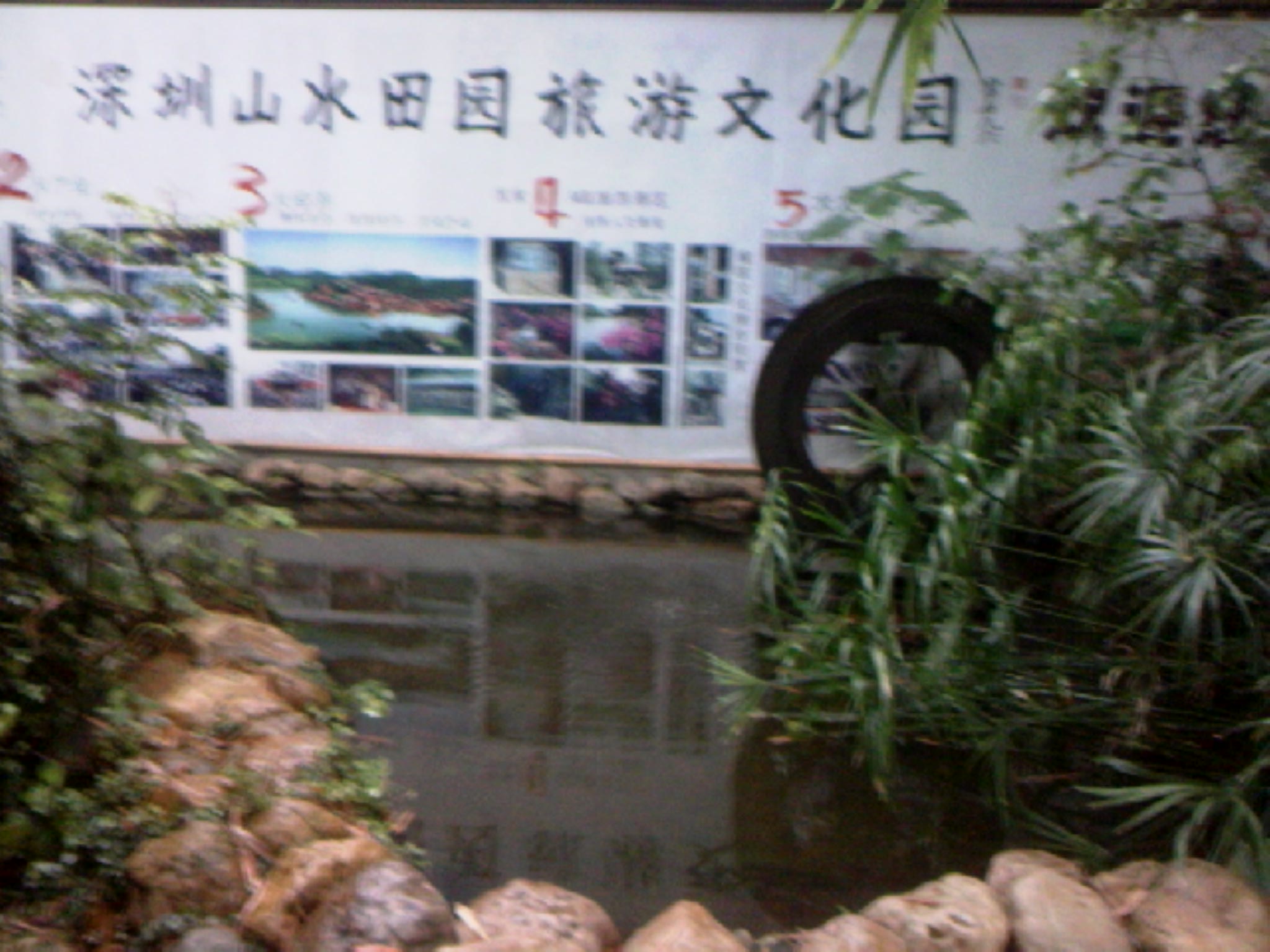 120308A006.jpg
