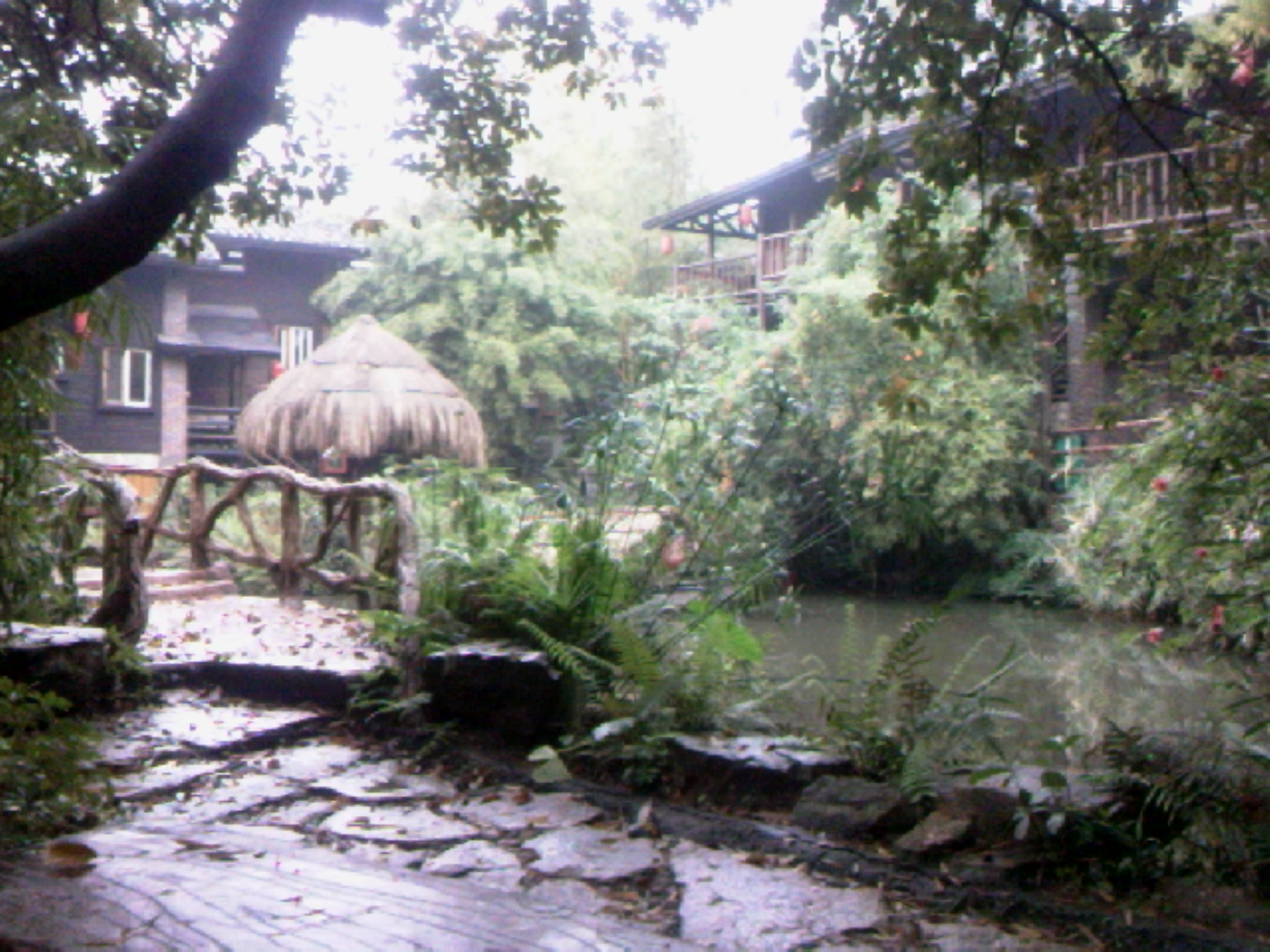 120308A031.jpg
