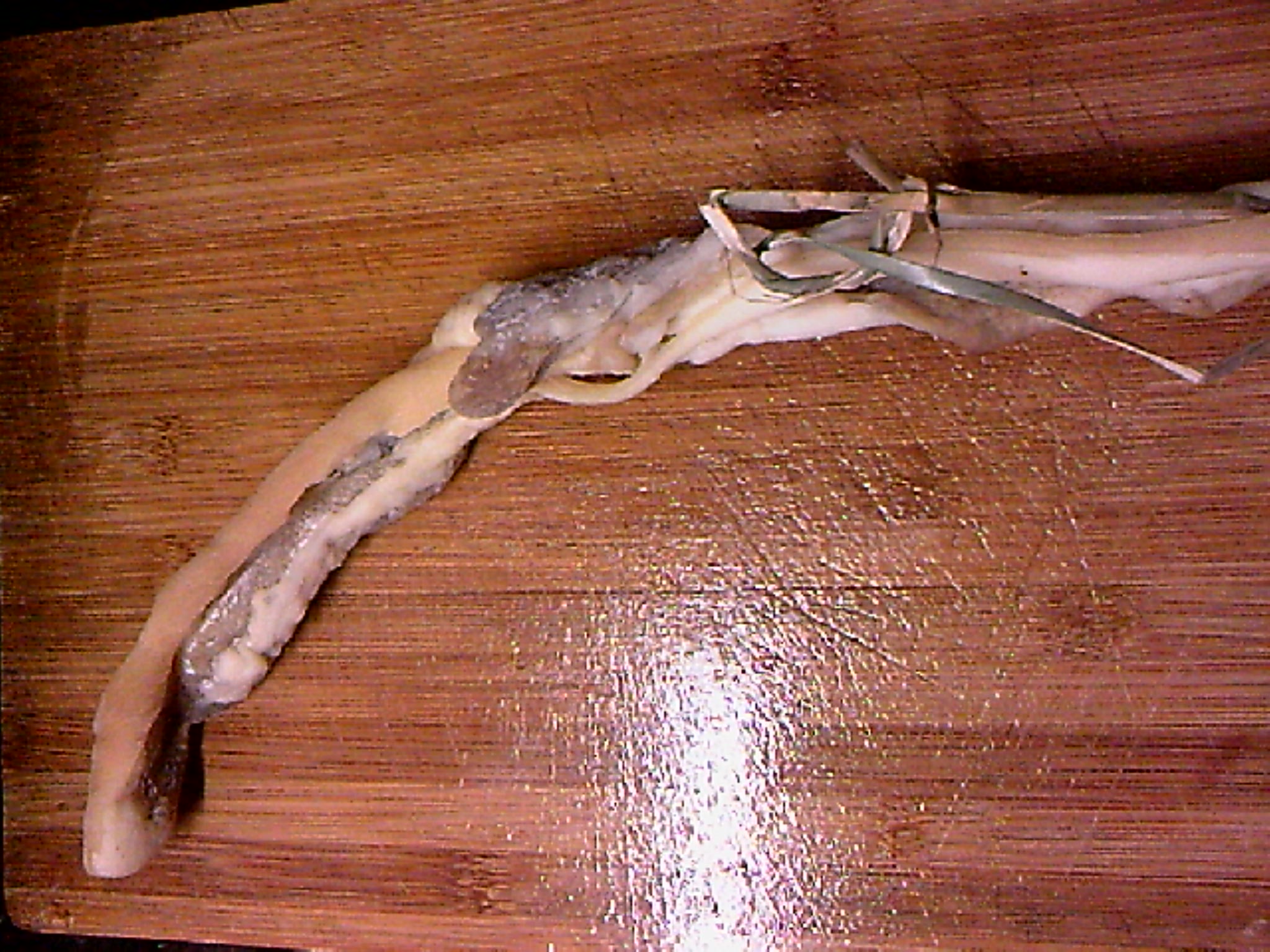 120309A002.jpg