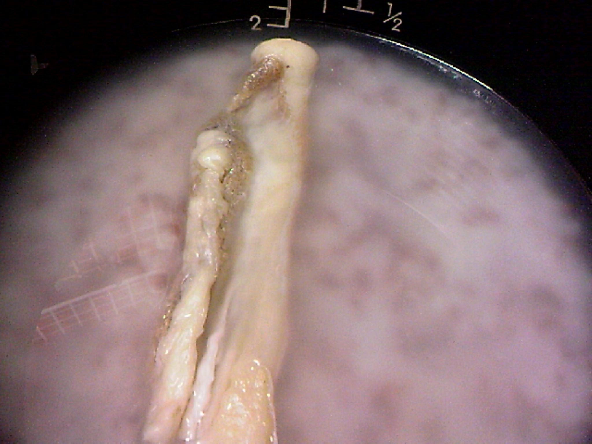 120309A007.jpg