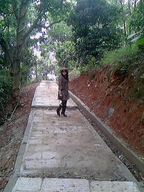 IMG1162A.jpg