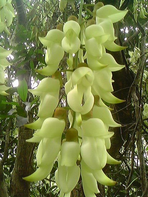 IMG1180A.jpg
