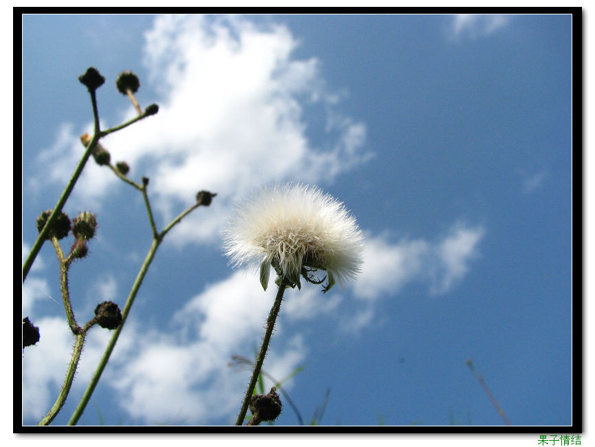Ƭ 010.jpg
