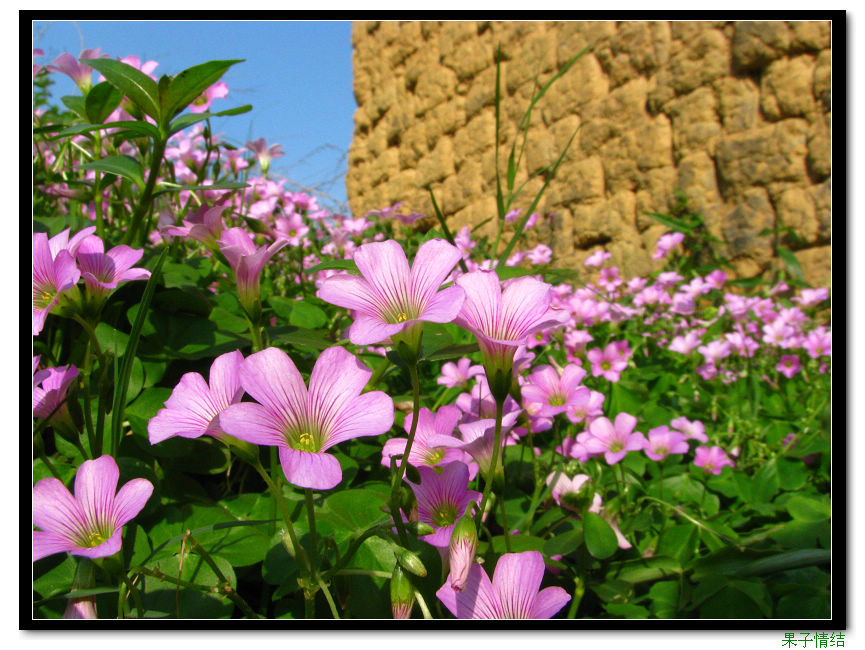 Ƭ 017.jpg
