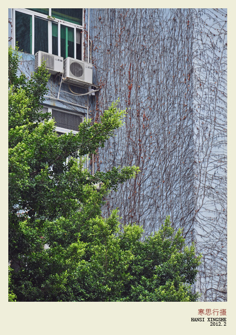 DSC_4489-sc.jpg