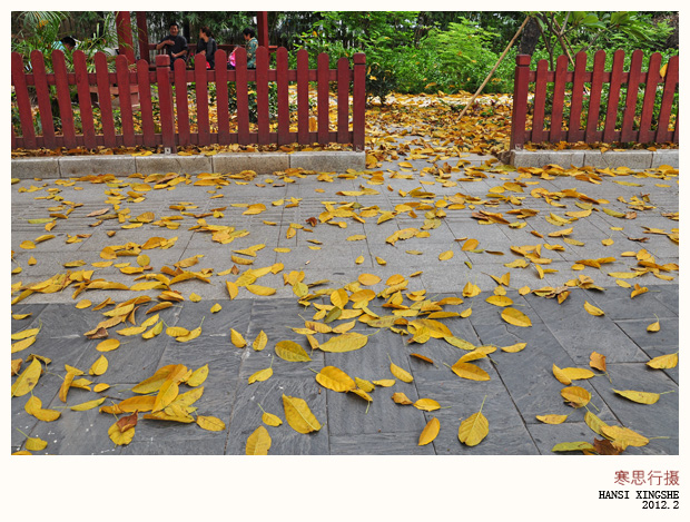 DSC_0108-sc.jpg