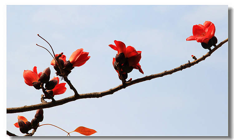 Ƭ 063a.jpg