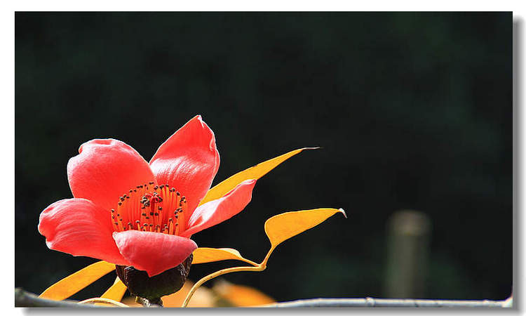 Ƭ 061 a.jpg
