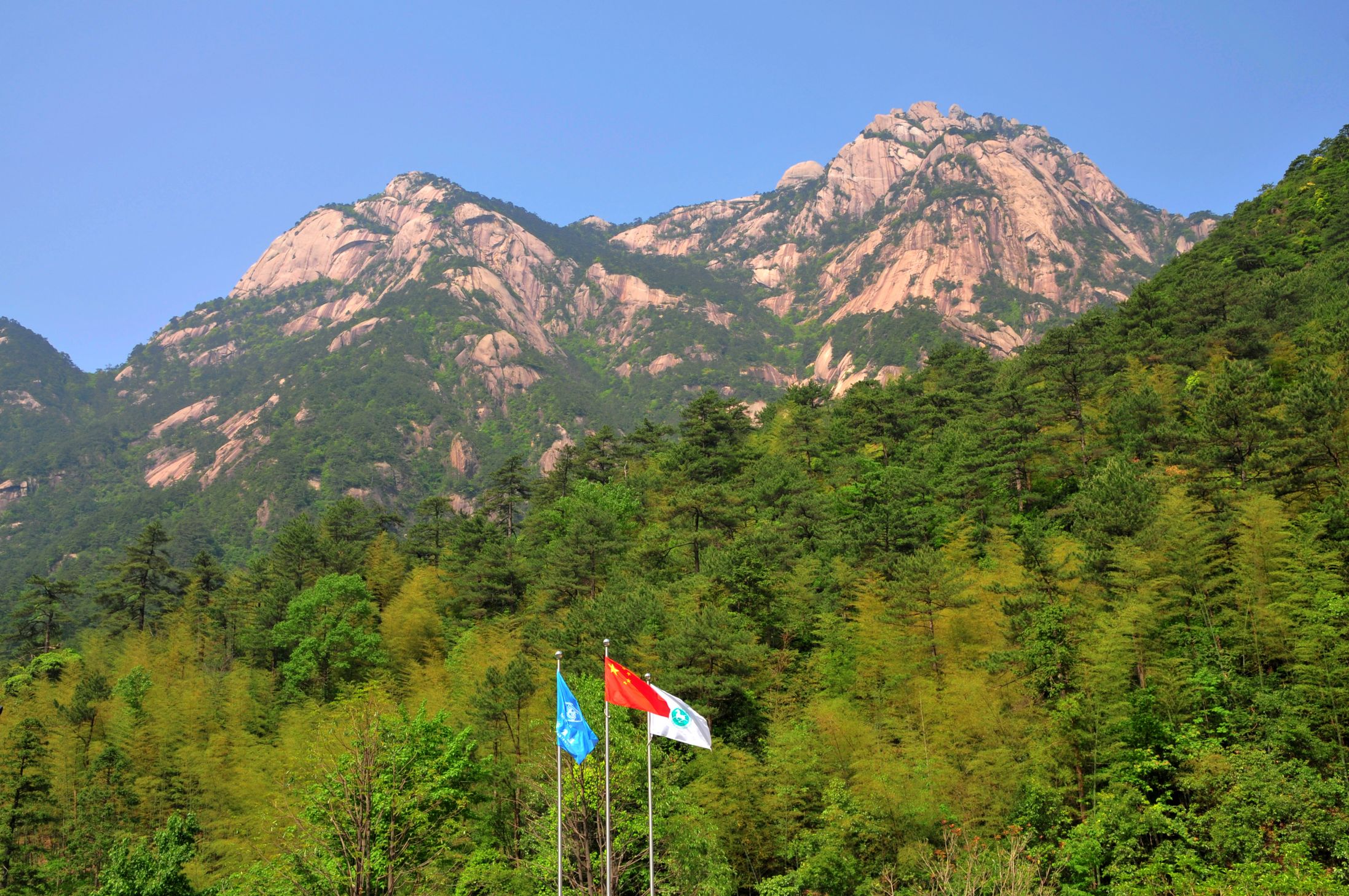 ZZM_5725.jpg