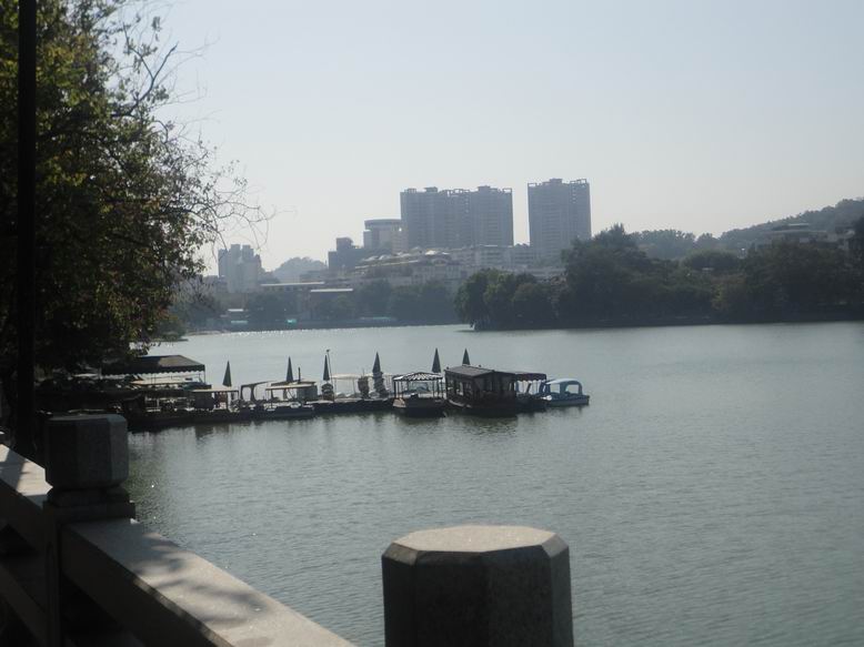 DSC01594.jpg