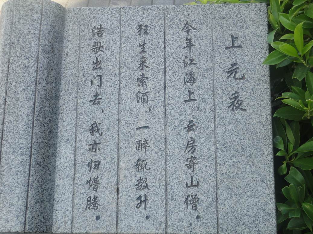 DSC01608.jpg