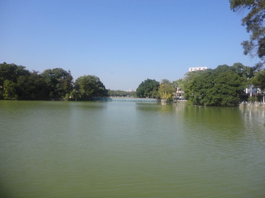 DSC01597.jpg