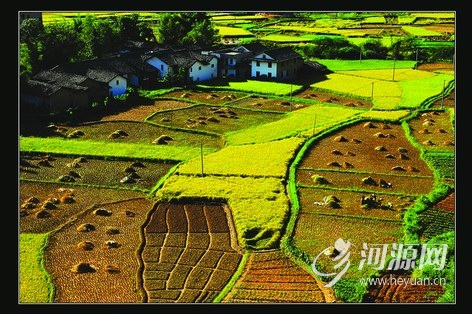 2010081410062703.jpg
