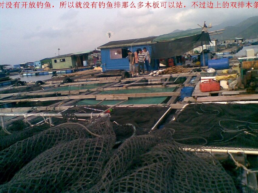 20120501(005).jpg