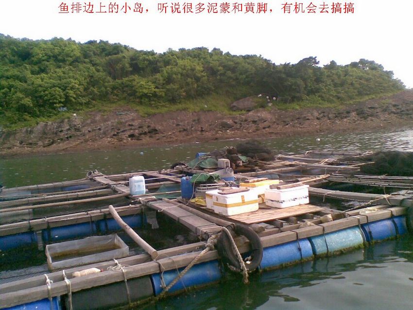 20120501(009).jpg