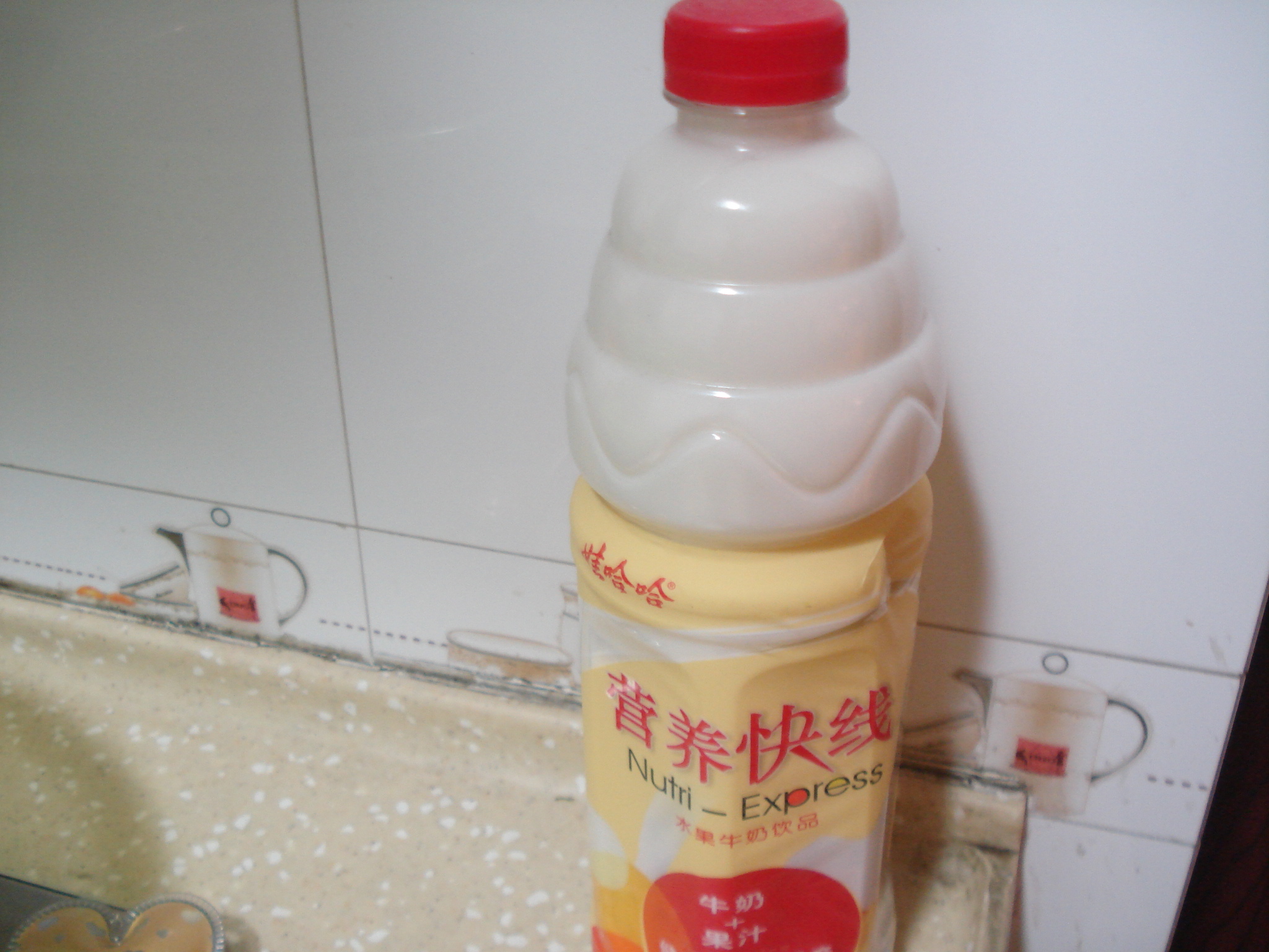 DSC07060.JPG