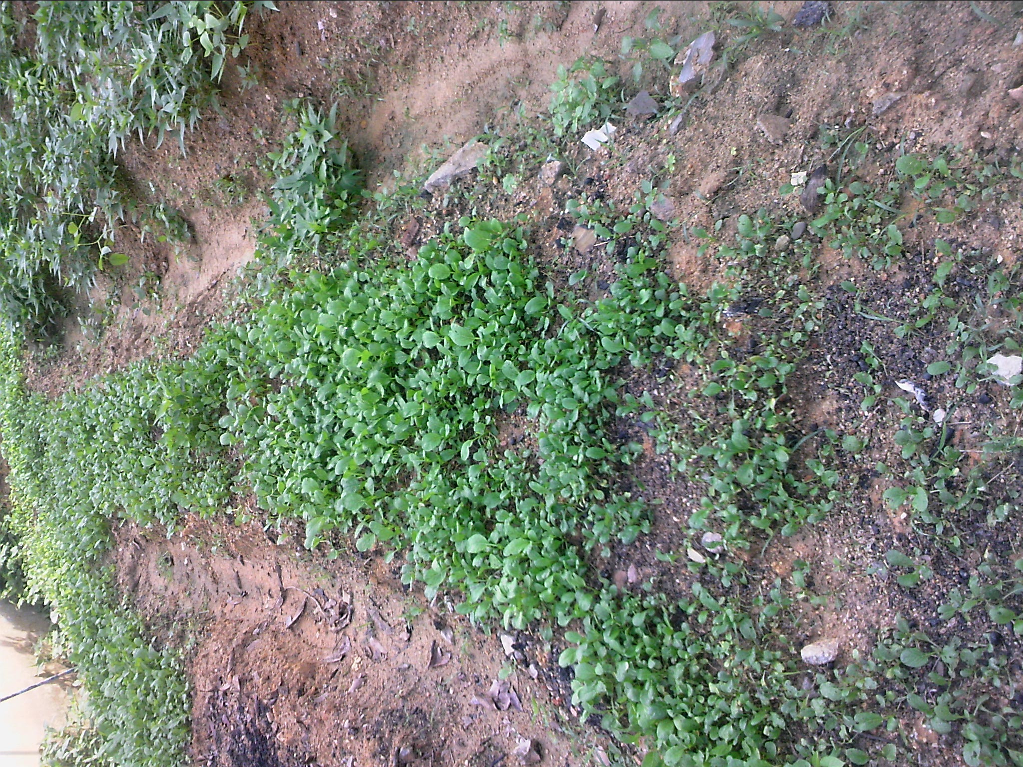 120513A001.jpg