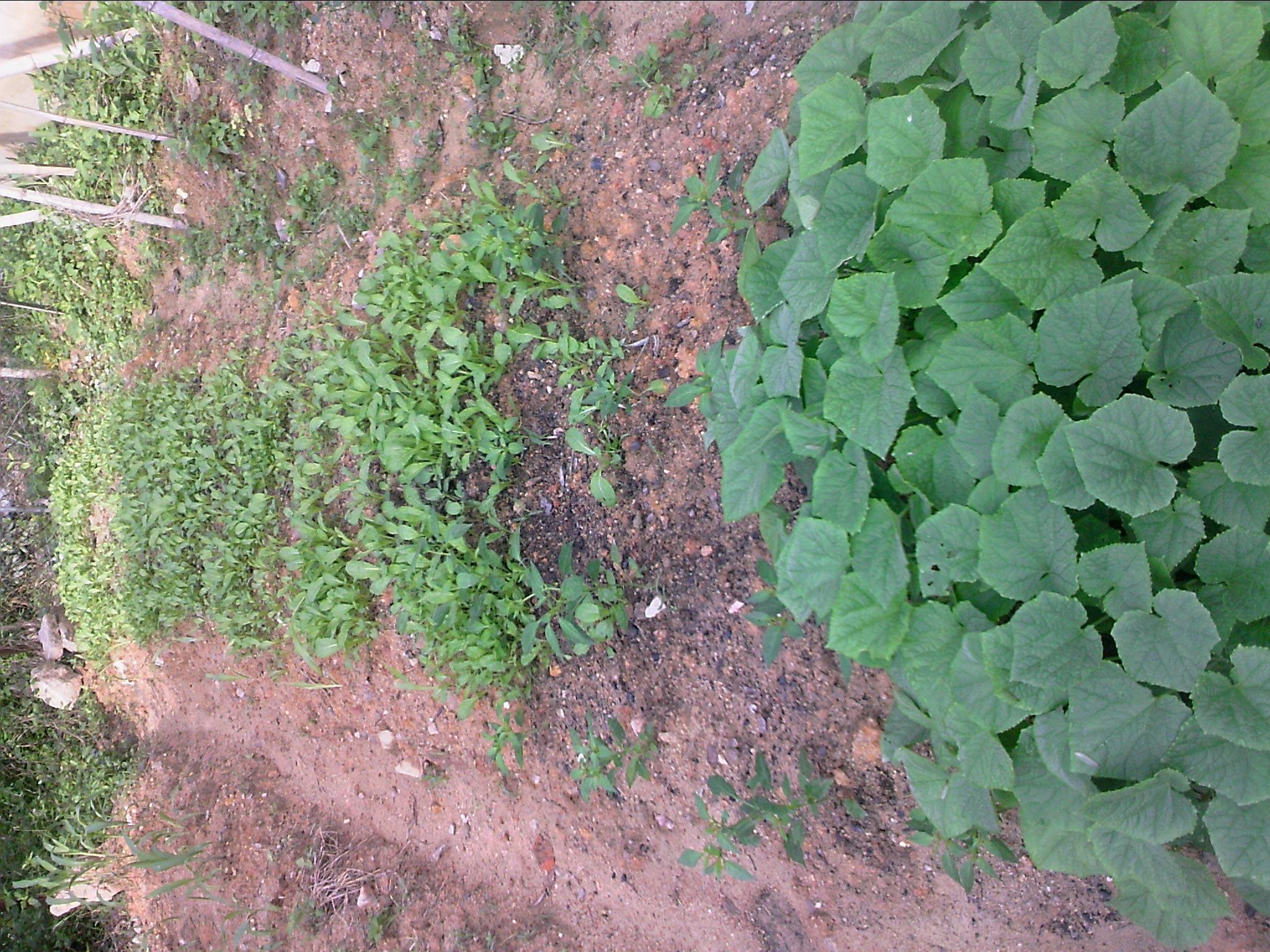 120513A002.jpg