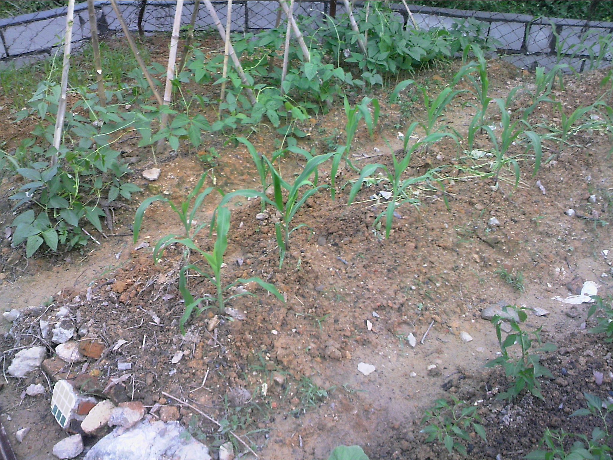 120515A001.jpg